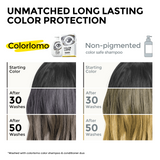 Colorlomo Grey Shampoo