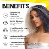 Colorlomo Grey Maintenance Shampoo Colorlast Color Safe Toning Shampoo for Hair Dye-Moisture Sulfate Free Clarifying Shampoo-Bleached Color Treated Hair
