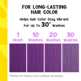 Colorlomo Purple Maintenance Shampoo Colorlast Color Safe Toning Shampoo for Hair Dye-Moisture Sulfate Free Clarifying Shampoo-Bleached Color Treated Hair
