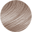 Swatch Icon