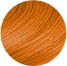 Swatch Icon