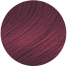 Swatch Icon